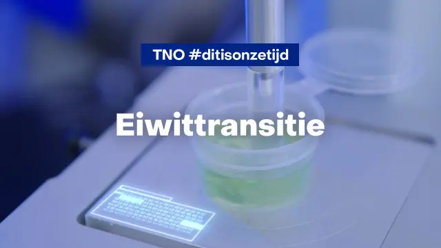 Afbeelding TNO Dit is onze tijd #4